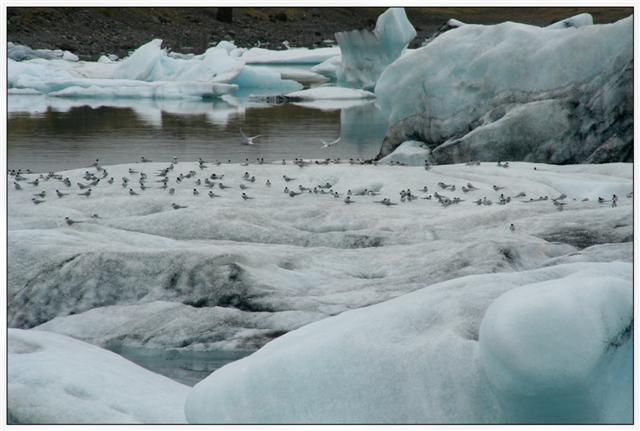 islande skatfatell iceberg 65 (Small).jpg